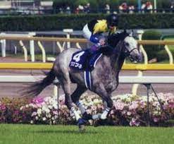 Kurofune - Race Horse